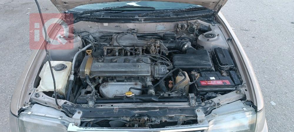 تويوتا كورولا